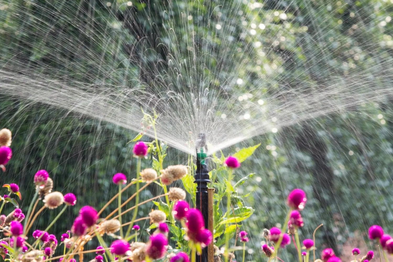 Expert Drainage Services in Springtown , TX for Reliable Landscape Protection