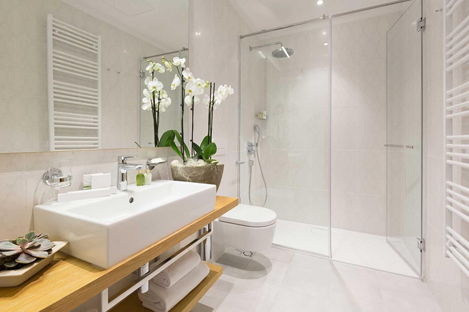 Why Elegant Showers Are the Top Choice for Modern Bathrooms