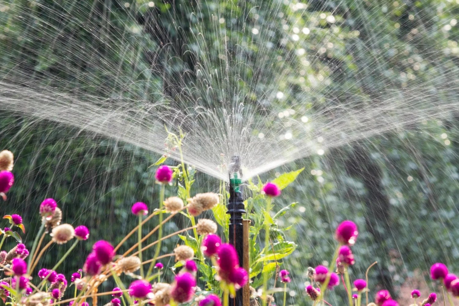Expert Drainage Services in Springtown , TX for Reliable Landscape Protection