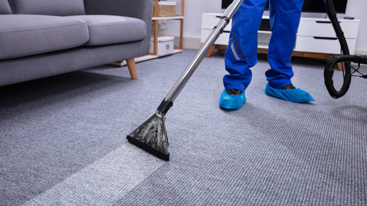 Exceptional Results with carpet cleaning georgetown tx by The Steam Team